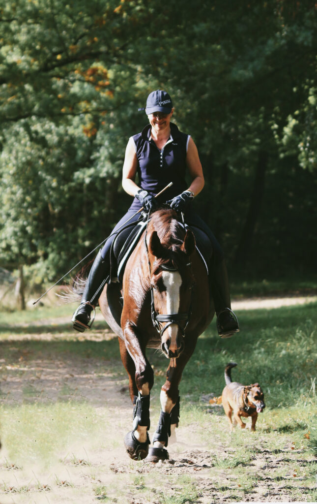 Anne Schmatelka reitet im Schritt auf einem Waldweg, neben dem braunen Pferd läuft ein kleiner Hund