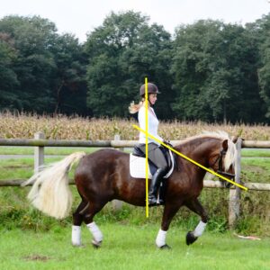 Los-gelassen-Online-Turnier