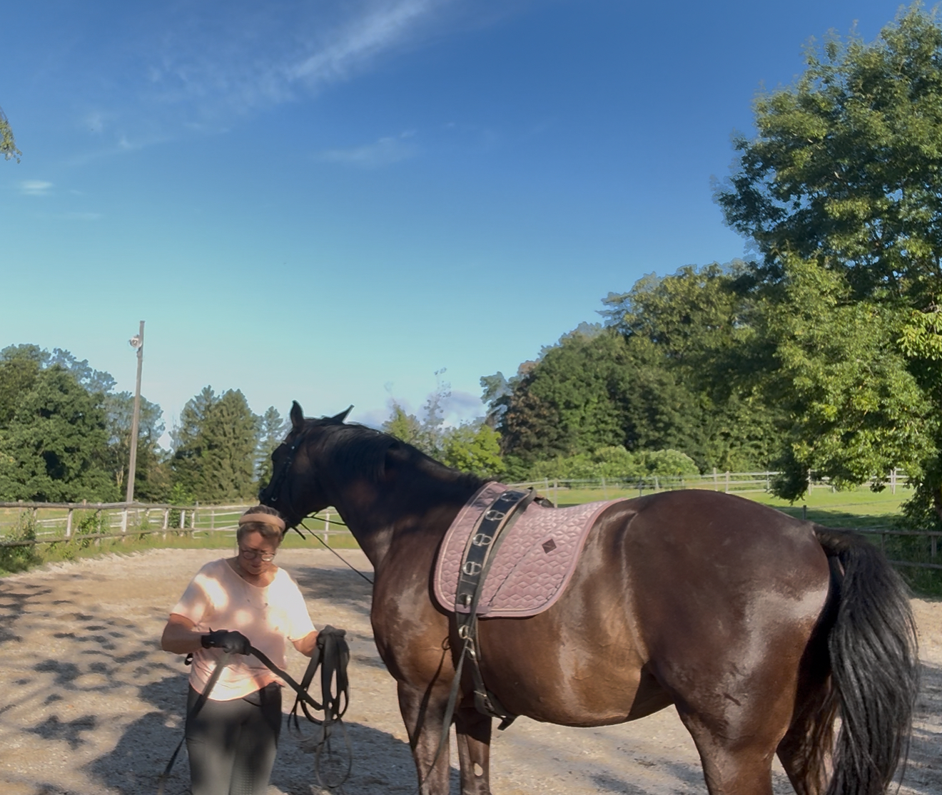 Doppellonge - Stressfrei - Schritt für Schritt - Teil 1 – Bild 3