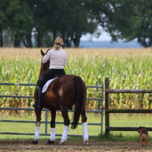 Schule Dein Auge - Webinar am 5. Februar 2026