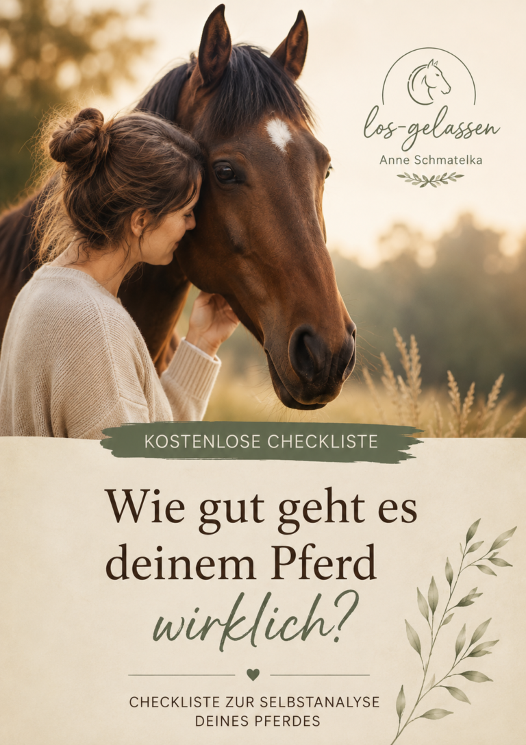 Titelbild der kostenlosen Checkliste „Wie gut geht es deinem Pferd wirklich?“ zur Selbstanalyse deines Pferdes