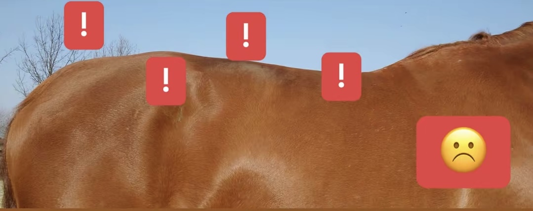 Blickschulung - sehen was wirklich passiert - Webinar – Bild 2