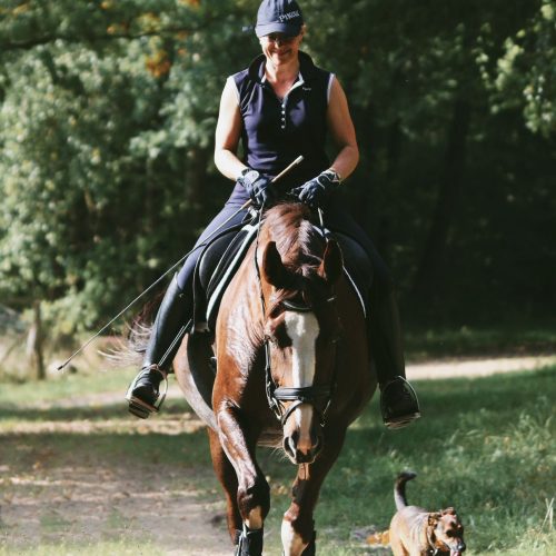 WhatsApp-Image-2026-04-21-at-08.39.31.jpeg